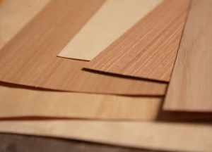 Gỗ Veneer là gì? Có ưu điểm và nhược điểm gì?