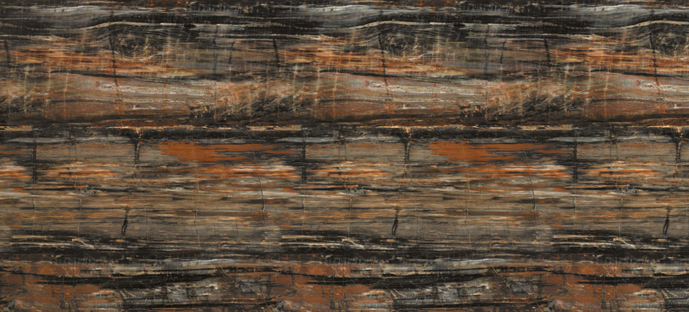Laminate Formica 3474HG Petrified Wood