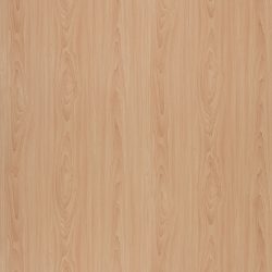 Laminate Perform 6009 - Arctic Maple