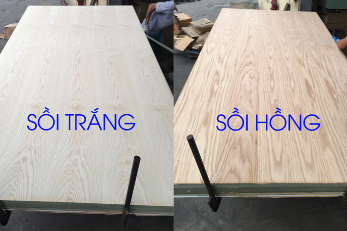Ván gỗ MDF phủ veneer vân gỗ sồi trắng, sồi hồng mặt A