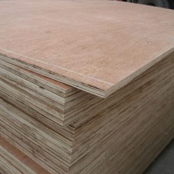 Gỗ dán (Plywood) các loại