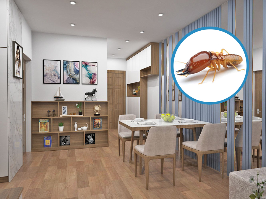 Đồ dùng từ gỗ công nghiệp có bị mối mọt không?