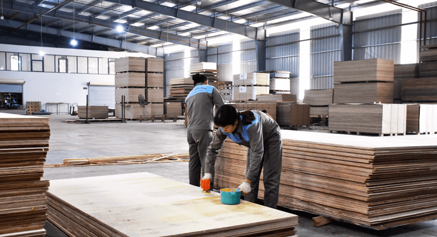 Cắt cạnh biên của tấm ván Plywood