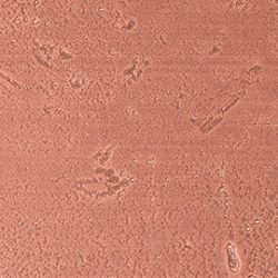 Laminate Formica D8277