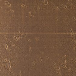 Laminate Formica D8278