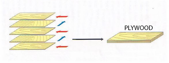 Cấu tạo của gỗ ván ép Plywood