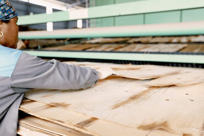 Hình ảnh nhà máy sản xuất gỗ ván ép của Hiếu Hương