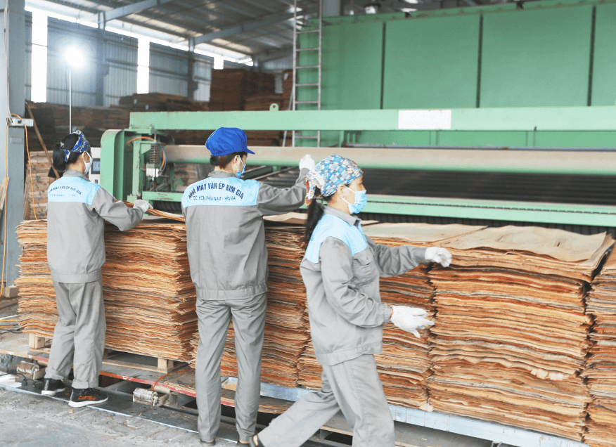 Nhà máy sản xuất tấm gỗ ván ép