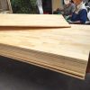 Ảnh đại diện ván thông ghép thanh 18mm