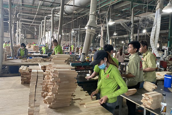 Dây chuyền sản xuất gỗ ghép thanh 01