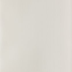 Laminate Perform 5548 - Pearl Ash