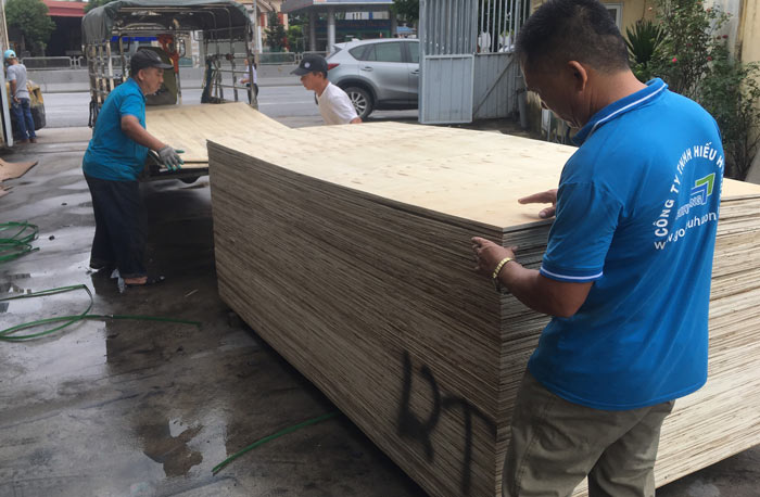 Hình ảnh gỗ dán thường BC