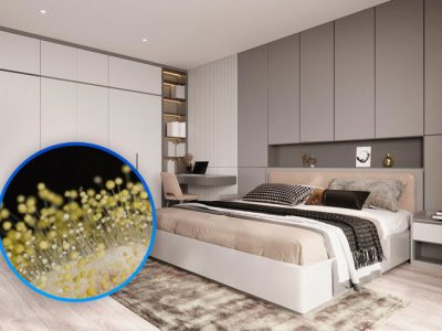 Ảnh đại diện gỗ mdf có bị mốc hay không