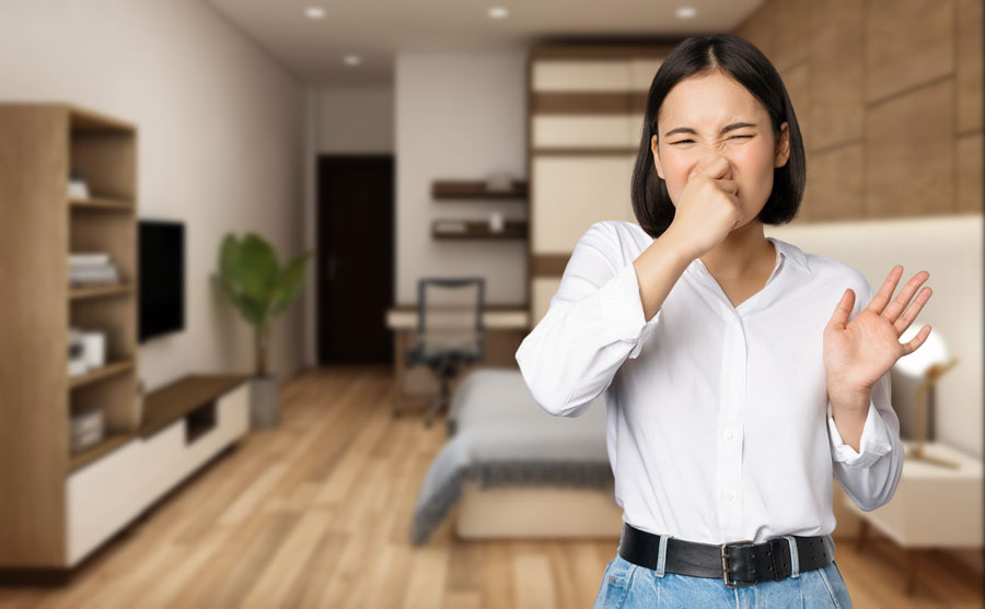 Nguyên nhân trong phòng có mùi hăng và cay mắt