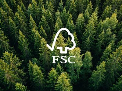 Ảnh đại diện gỗ mdf đạt chứng chỉ FSC