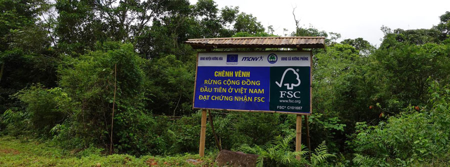 Cánh rừng đầu tiên tại Việt Nam đạt chứng nhận FSC