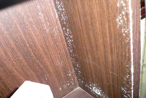 Nội thất gỗ công nghiệp hoàn toàn có thể bị nấm mốc nếu không biết cách bảo quản